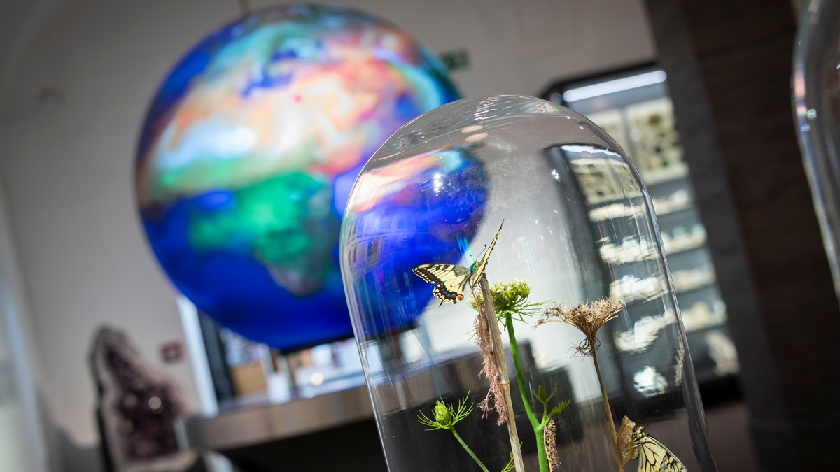 Neueröffnung Wandel / Vom Klimawandel bis hin zu Maria Sibylla Merian - Foto: presseportal.de