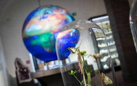 Neueröffnung Wandel / Vom Klimawandel bis hin zu Maria Sibylla Merian - Foto: presseportal.de