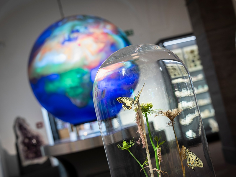 Neueröffnung Wandel / Vom Klimawandel bis hin zu Maria Sibylla Merian - Foto: presseportal.de