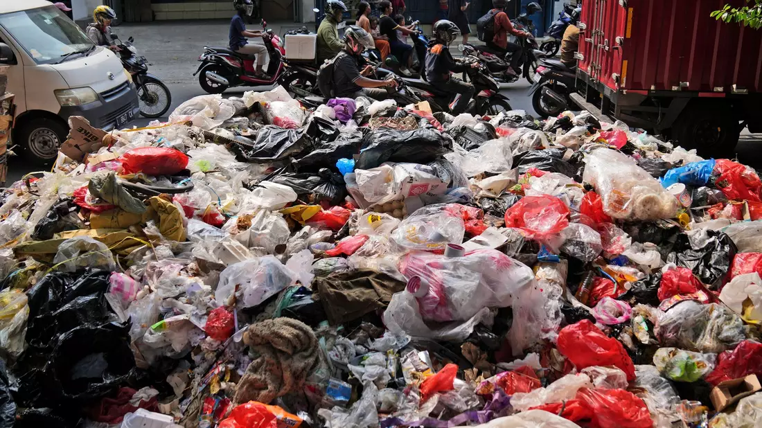 Angesichts von Klimawandel, Artensterben und Umweltproblemen weist ein Bericht der Vereinten Nationen auf Möglichkeiten der Veränderung sowie tiefe Ursachen von globalen Problemen hin. (Archivbild) - Bild: Dita Alangkara/AP/dpa