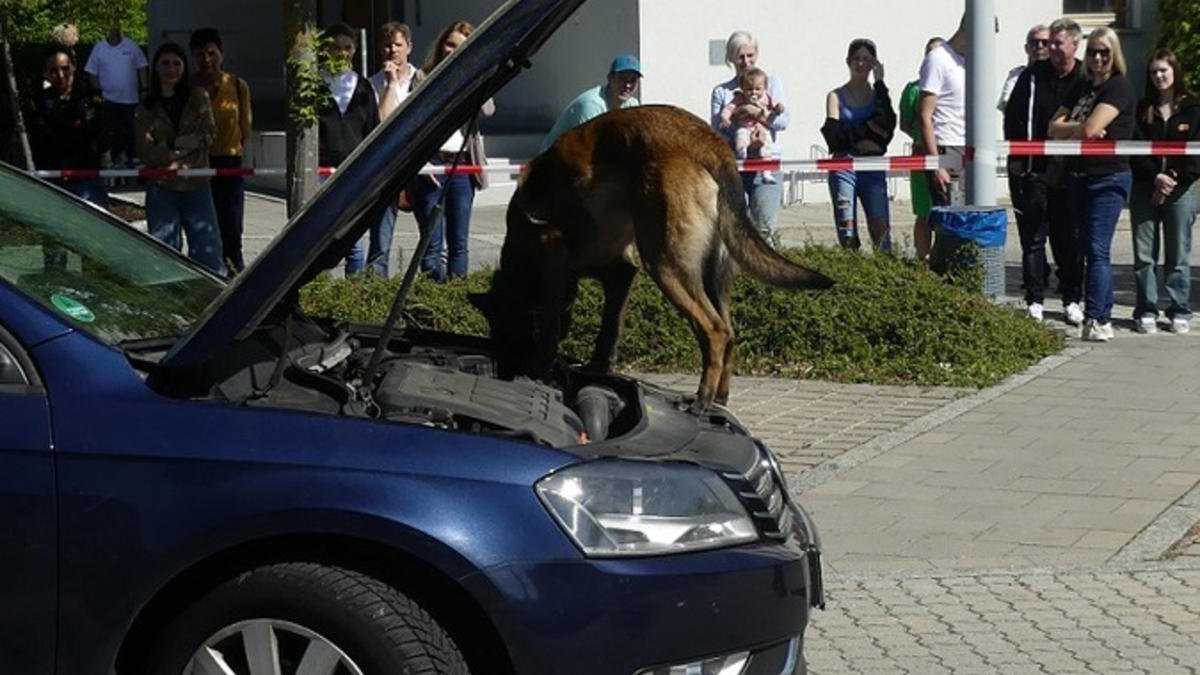 HZA-R: Berufsinformationstag beim Zoll am 26.04.2025 - Das Hauptzollamt Regensburg informiert über Ausbildung und Studium - Foto: presseportal.de