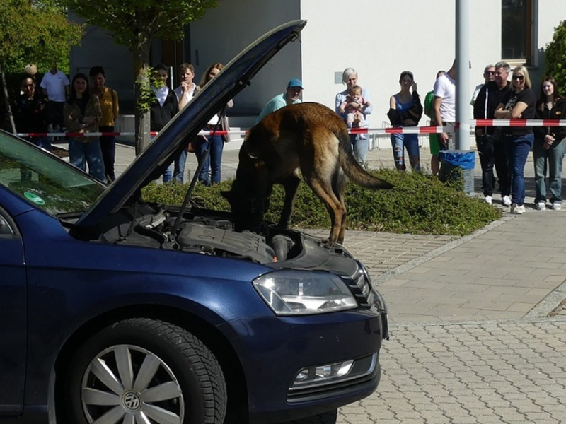 HZA-R: Berufsinformationstag beim Zoll am 26.04.2025 - Das Hauptzollamt Regensburg informiert über Ausbildung und Studium - Foto: presseportal.de