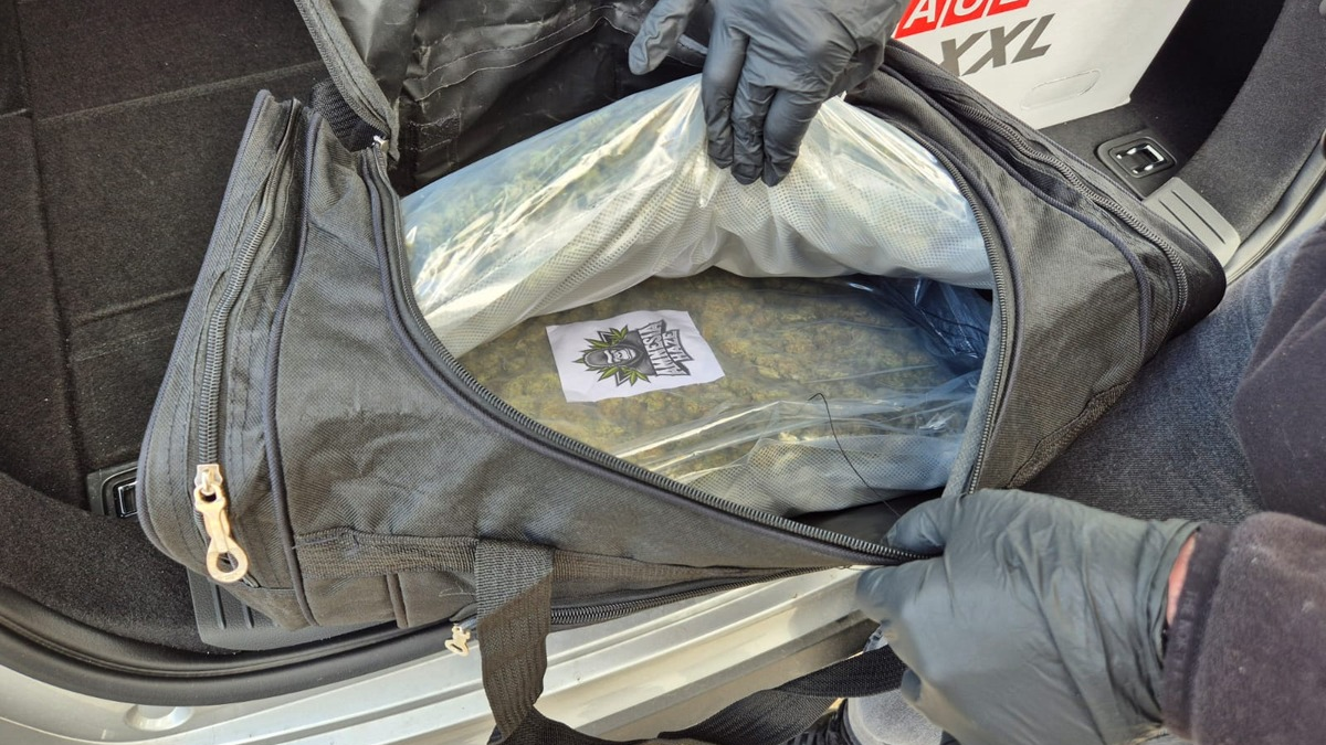 ZOLL-HH: Zoll und Polizei stoppen Drogenbande in Greifswald Zollfahndung und Polizei stellen über 12 Kilogramm Marihuana sowie weitere Drogen sicher, sechs Festnahmen bei Durchsuchungen in Greifswald - Foto: presseportal.de