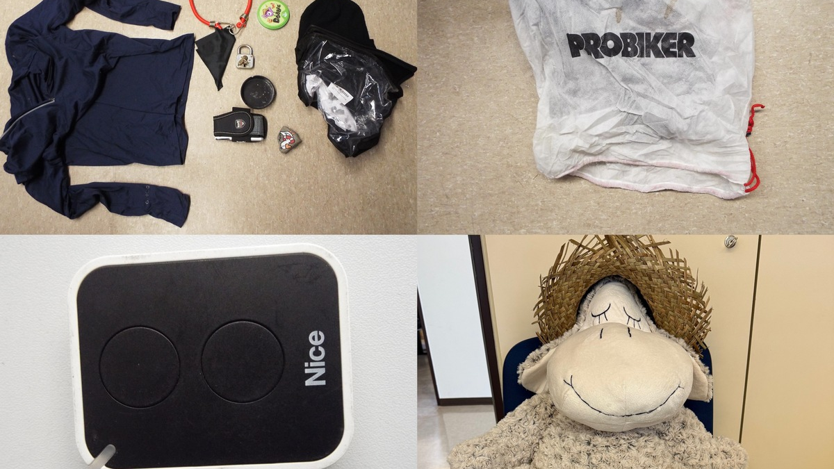 POL-PB: Autoaufbrecher stiehlt und hinterlässt gleichzeitig Gegenstände - Foto: presseportal.de