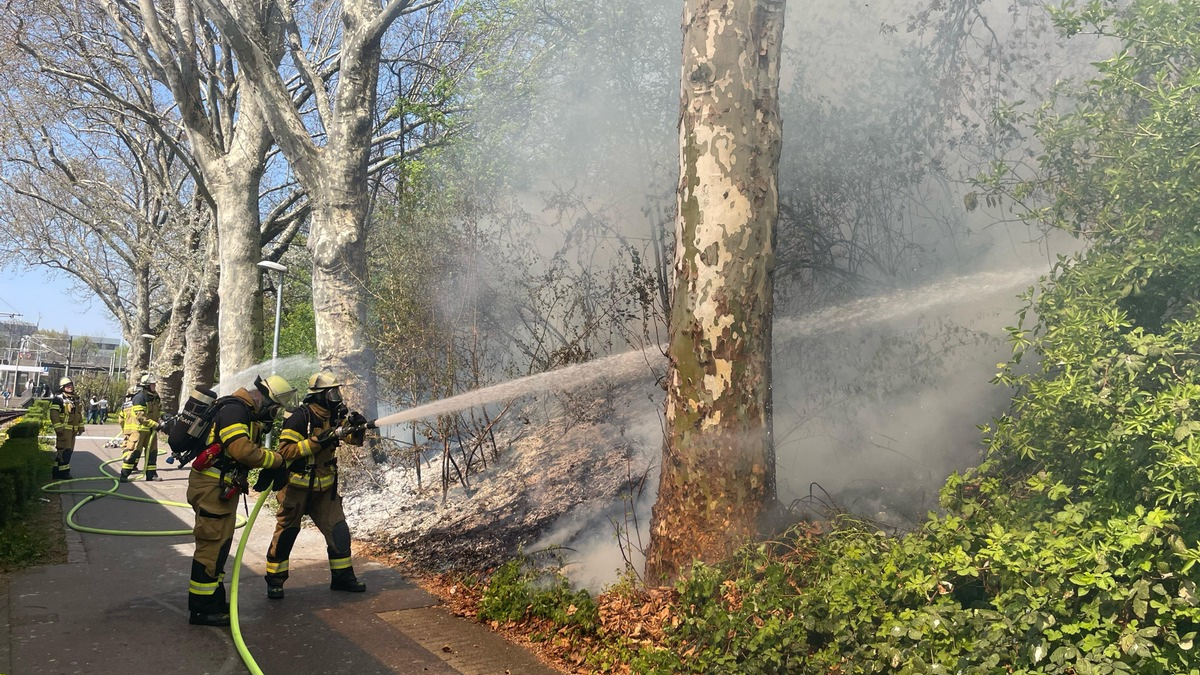 FW Stuttgart: Vegetationsbrand am Bahnhof Untertürkheim führt zu Gleissperrungen - Foto: presseportal.de