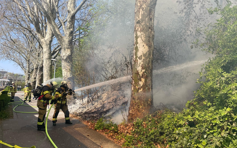 FW Stuttgart: Vegetationsbrand am Bahnhof Untertürkheim führt zu Gleissperrungen - Foto: presseportal.de