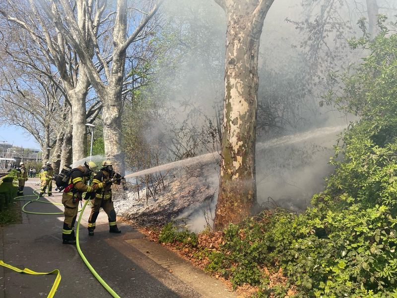 FW Stuttgart: Vegetationsbrand am Bahnhof Untertürkheim führt zu Gleissperrungen - Foto: presseportal.de