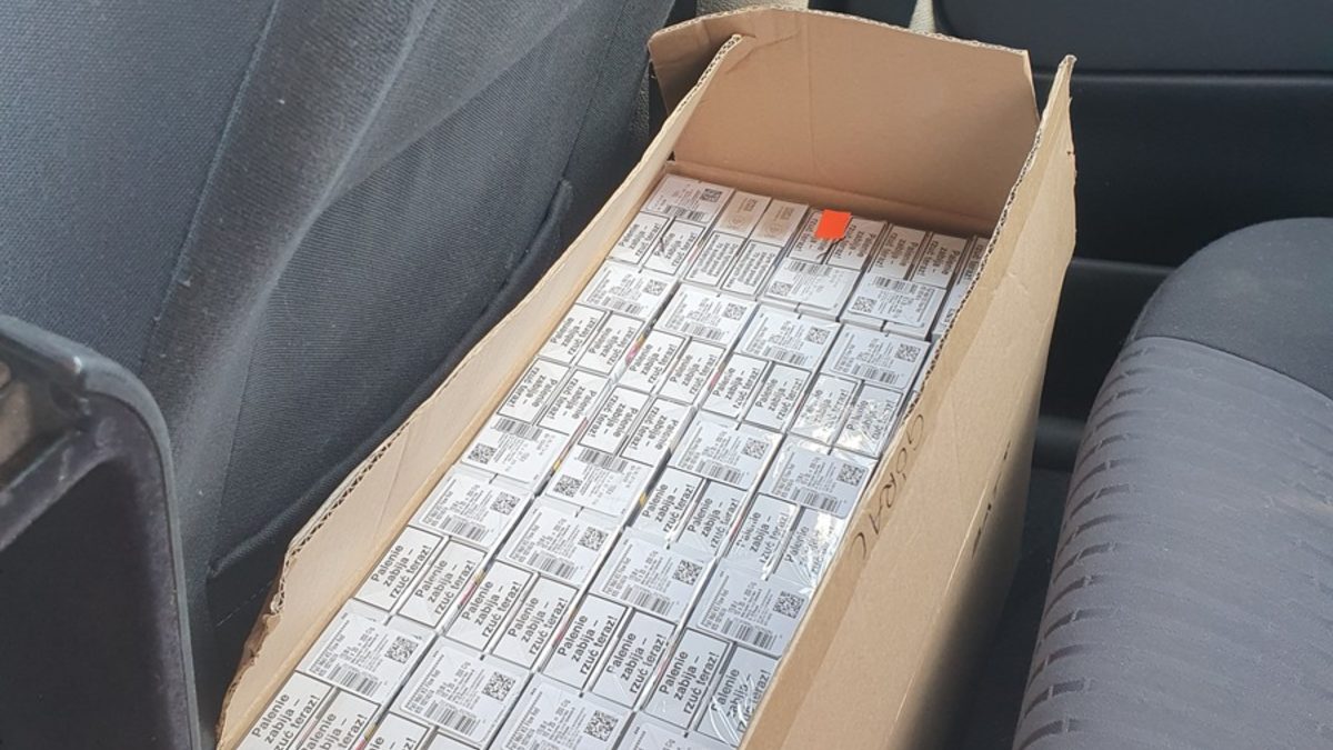 HZA-P: Kleiner Hund macht großen Fund / Zollhund Bobby erschnüffelt 7.600 Zigaretten bei einer Fahrzeugkontrolle auf der A 24 - Foto: presseportal.de