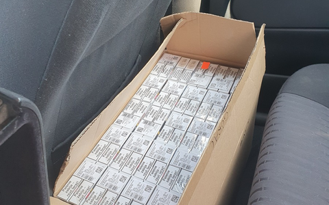 HZA-P: Kleiner Hund macht großen Fund / Zollhund Bobby erschnüffelt 7.600 Zigaretten bei einer Fahrzeugkontrolle auf der A 24 - Foto: presseportal.de HZA-P: Kleiner Hund macht großen Fund / Zollhund Bobby erschnüffelt 7.600 Zigaretten bei einer Fahrzeugkontrolle auf der A 24 - Foto: presseportal.de