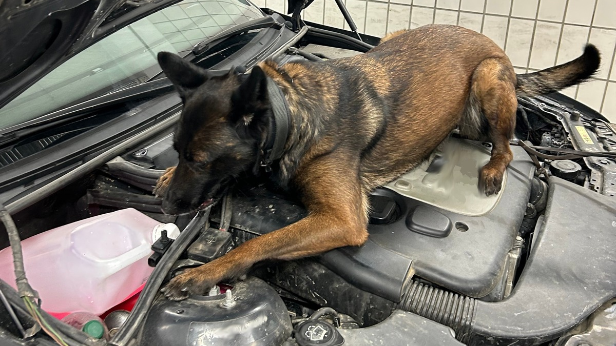 HZA-RO: Zollkontrolle am Irschenberg an der A 8 Richtung Salzburg: Knapp 55 Gramm 