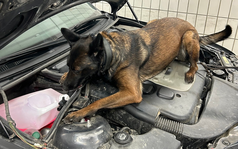 HZA-RO: Zollkontrolle am Irschenberg an der A 8 Richtung Salzburg: Knapp 55 Gramm Crystal versteckt in der Mittelkonsole - Foto: presseportal.de