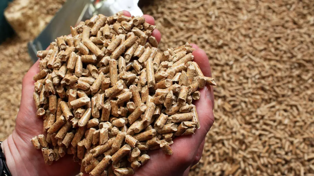 German Pellets war nach eigenen Angaben einst Weltmarktführer bei Herstellung und Vertrieb von Holzpellets für Heizungen. - Bild: Jens Büttner/dpa