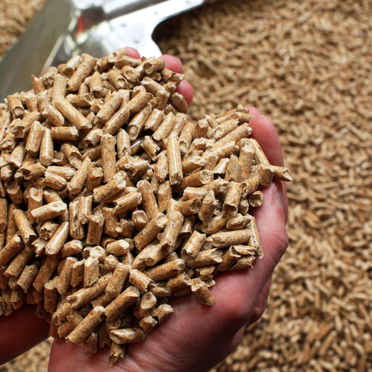 German Pellets war nach eigenen Angaben einst Weltmarktführer bei Herstellung und Vertrieb von Holzpellets für Heizungen. - Foto: Jens Büttner/dpa