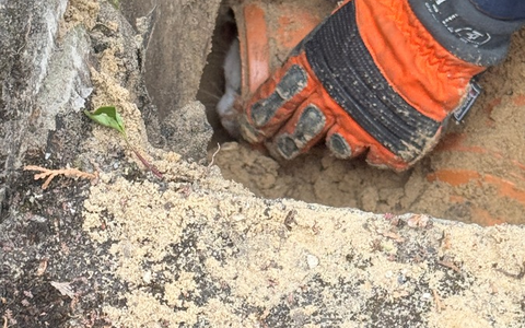 FW-DT: Katze auf Abwegen - Foto: presseportal.de