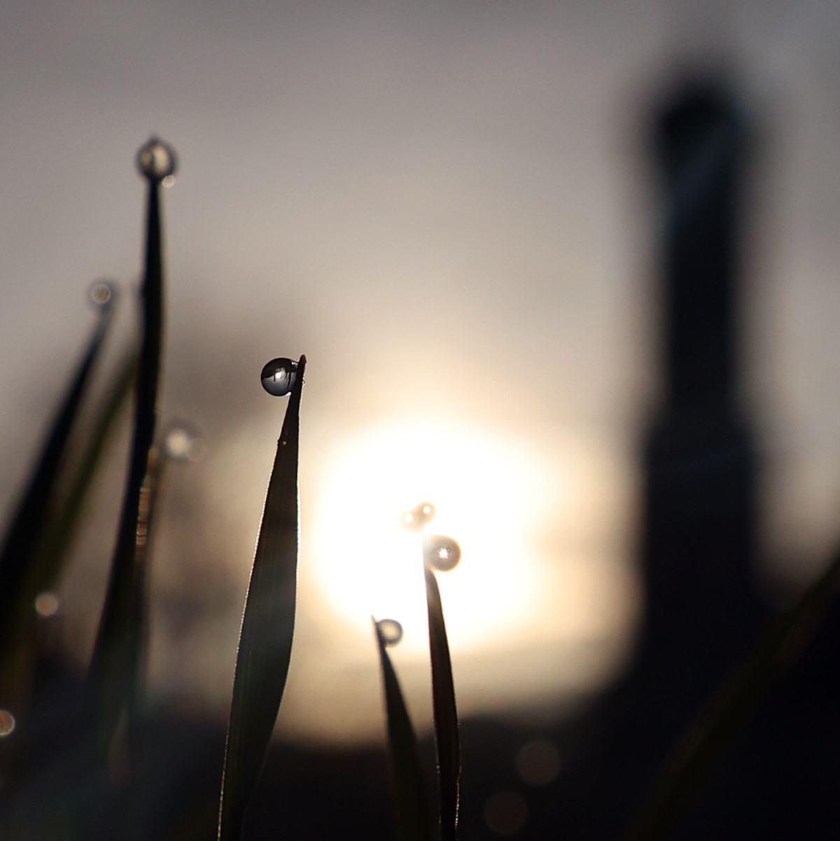 Ein letzter schöner Tag ist heute noch drin, bevor das Wetter etwas unbeständiger wird. - Foto: Karl-Josef Hildenbrand/dpa