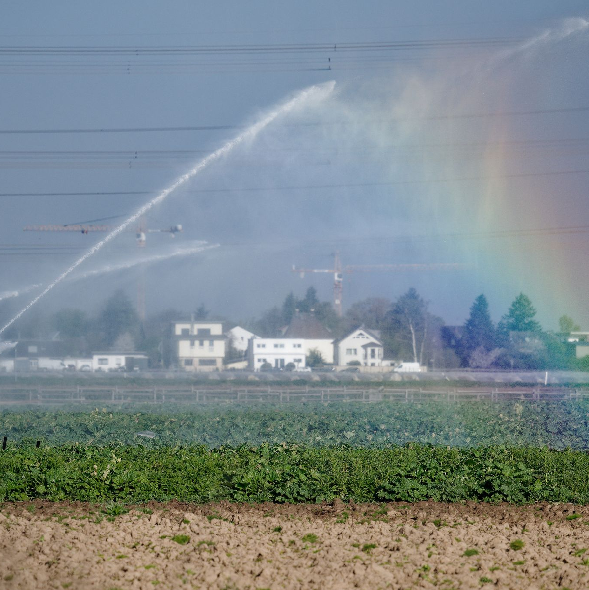 Das seit Tagen anhaltende trockene Frühlingswetter soll am Sonntag vielerorts vorerst vorbei sein. - Foto: Henning Kaiser/dpa