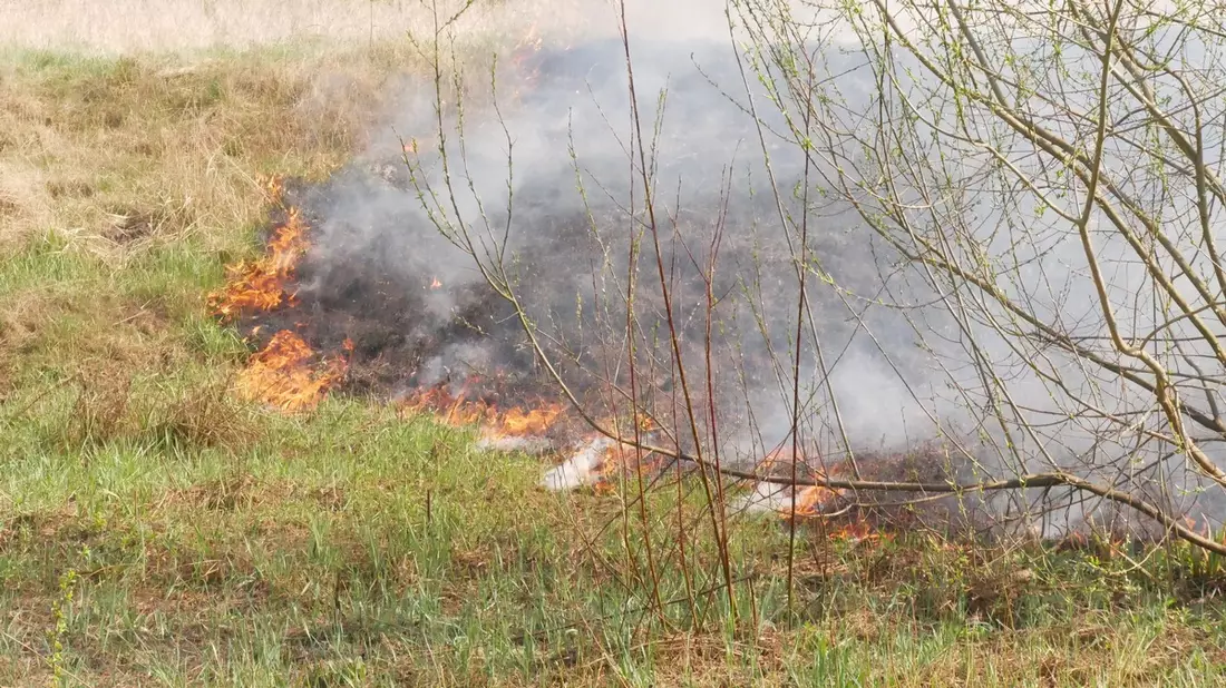 FW Celle: Vegetationsbrand, Verkehrsunfall, Feuer in einer Garage - drei Einsätze innerhalb von 30 Minuten! - Bild: presseportal.de