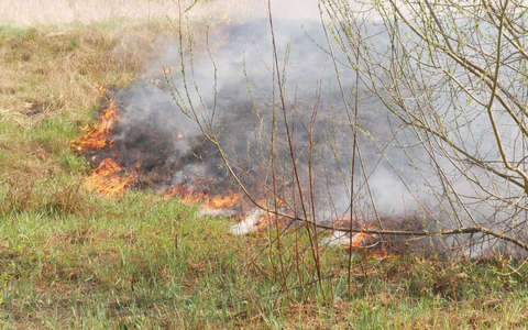 FW Celle: Vegetationsbrand, Verkehrsunfall, Feuer in einer Garage - drei Einsätze innerhalb von 30 Minuten! - Foto: presseportal.de FW Celle: Vegetationsbrand, Verkehrsunfall, Feuer in einer Garage - drei Einsätze innerhalb von 30 Minuten! - Foto: presseportal.de