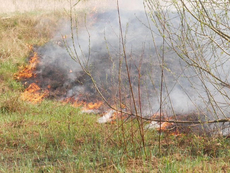 FW Celle: Vegetationsbrand, Verkehrsunfall, Feuer in einer Garage - drei Einsätze innerhalb von 30 Minuten! - Foto: presseportal.de