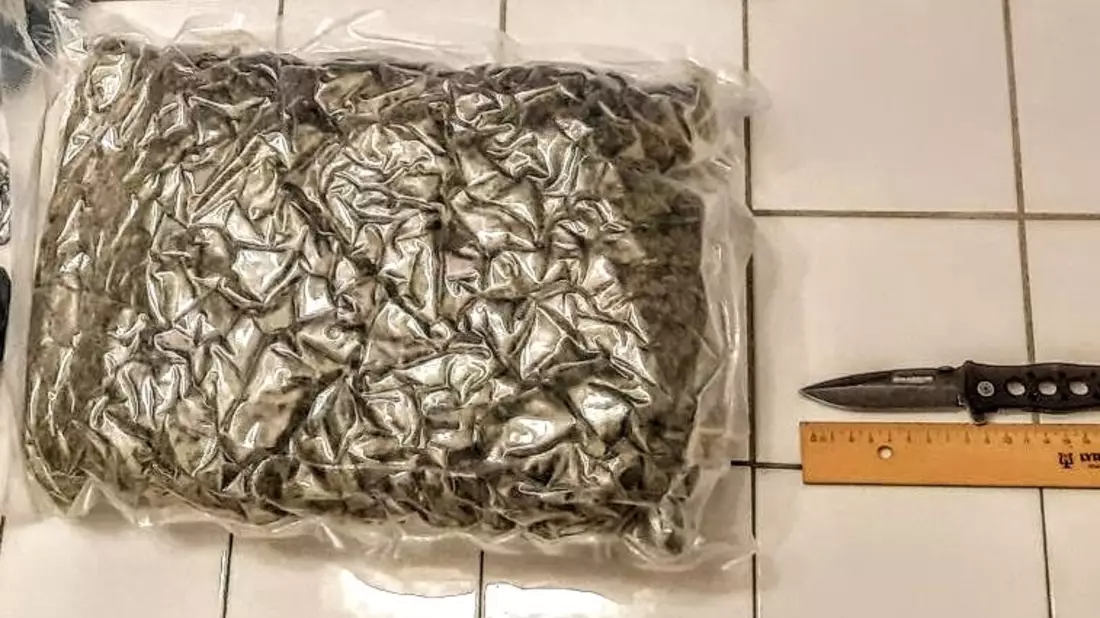 BPOL-KI: Bahnhof: Über ein Kilogramm Cannabis im Rucksack - Bild: presseportal.de