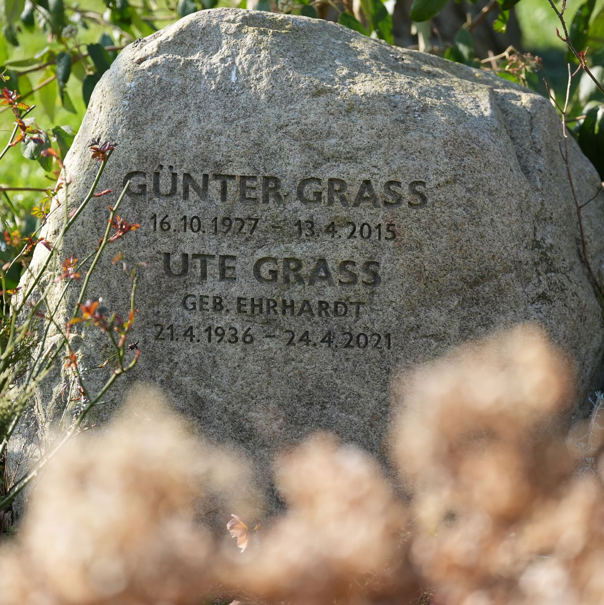 Blick auf den Grabstein auf der Grabstätte von Günter Grass auf dem Friedhof Behlendorf.  - Foto: Marcus Brandt/dpa