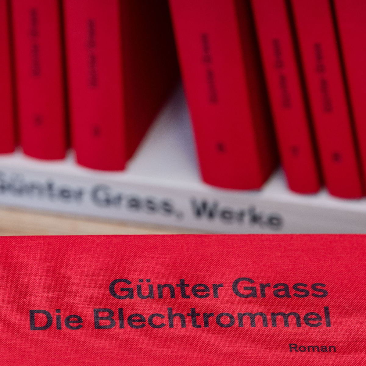 Es wurde sein berühmtestes Buch (Archivbild). - Foto: Swen Pförtner/dpa