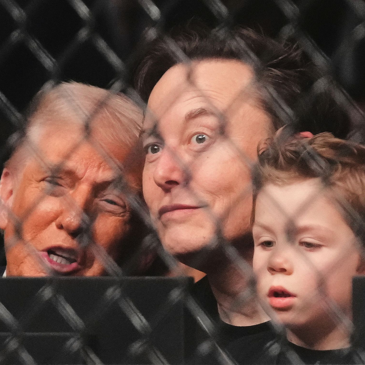 Noch im April zeigten sich Musk und Trump zusammen bei einem Wrestling-Turnier. (Archivbild) - Foto: Lynne Sladky/AP/dpa
