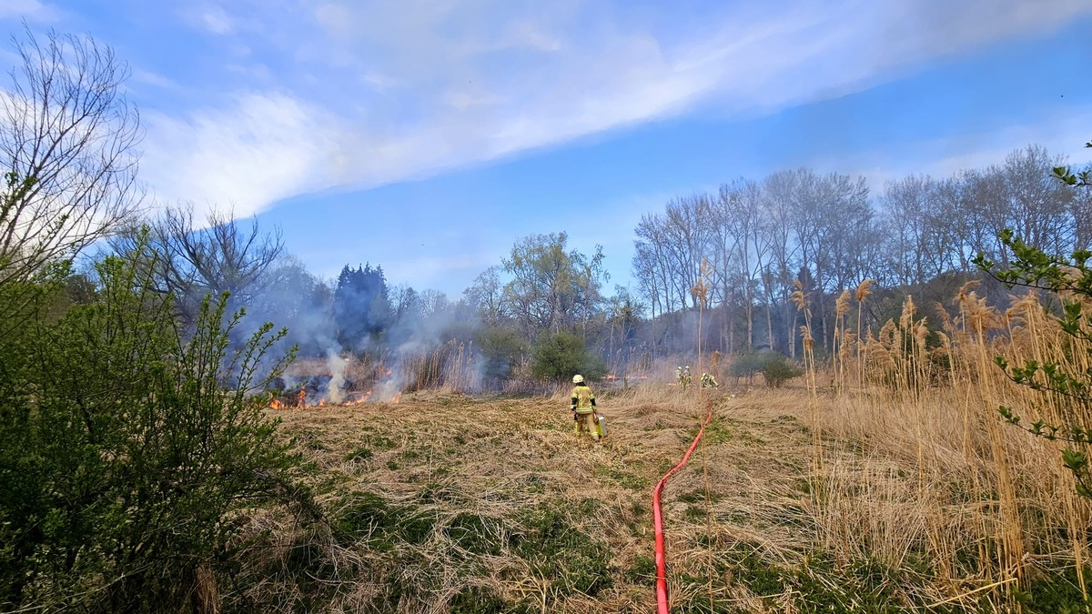FW Konstanz: Vegetationsbrand - Foto: presseportal.de