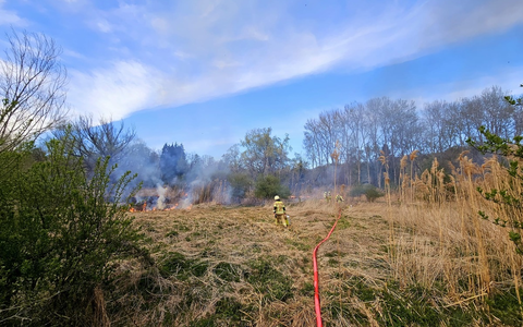FW Konstanz: Vegetationsbrand - Foto: presseportal.de