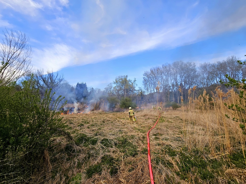 FW Konstanz: Vegetationsbrand - Foto: presseportal.de