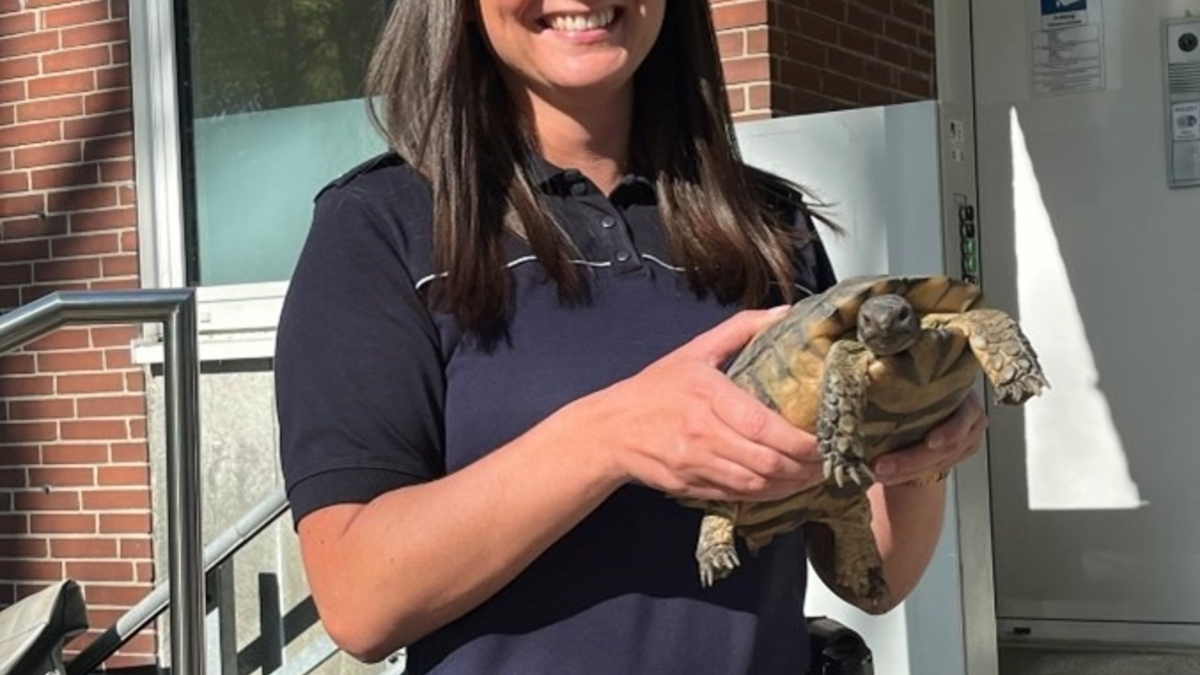 POL-BO: Tierischer Quereinsteiger: Der nimmersatte Schiggi verstärkt die Wache Ost - Foto: presseportal.de