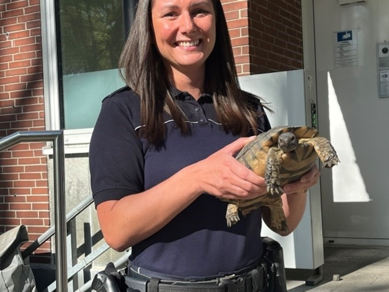 POL-BO: Tierischer Quereinsteiger: Der nimmersatte Schiggi verstärkt die Wache Ost - Foto: presseportal.de