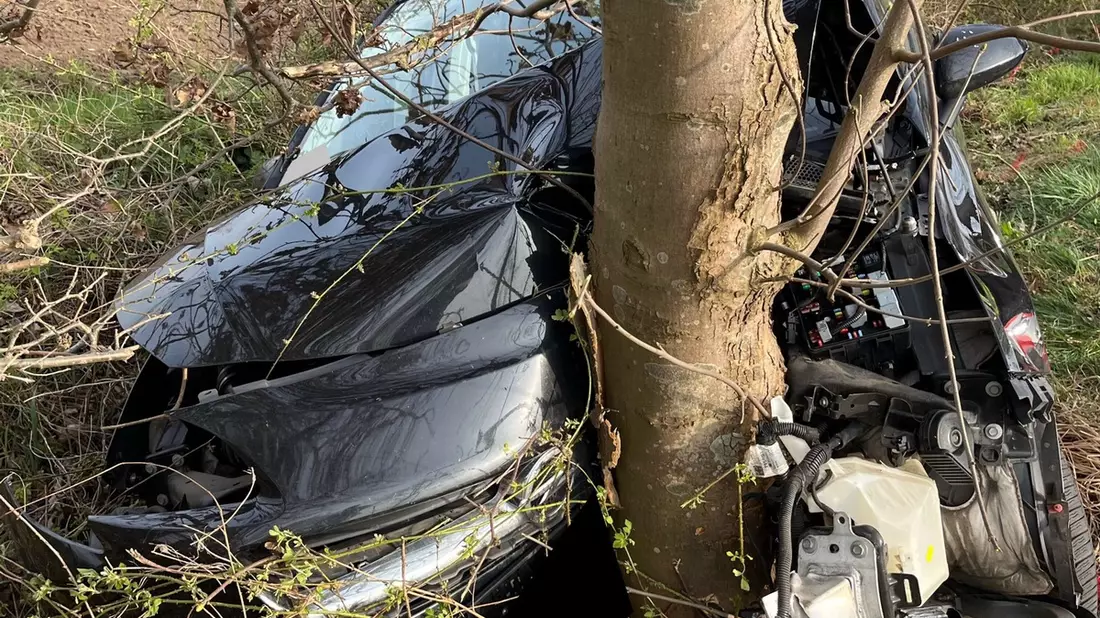 POL-MI: Opel kracht gegen Straßenbaum - Bild: presseportal.de