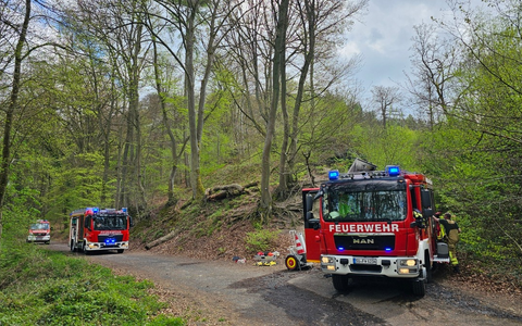FW Königswinter: Feuer im Wald rechtzeitig entdeckt - Waldbrandgefahr aktuell noch hoch - Foto: presseportal.de