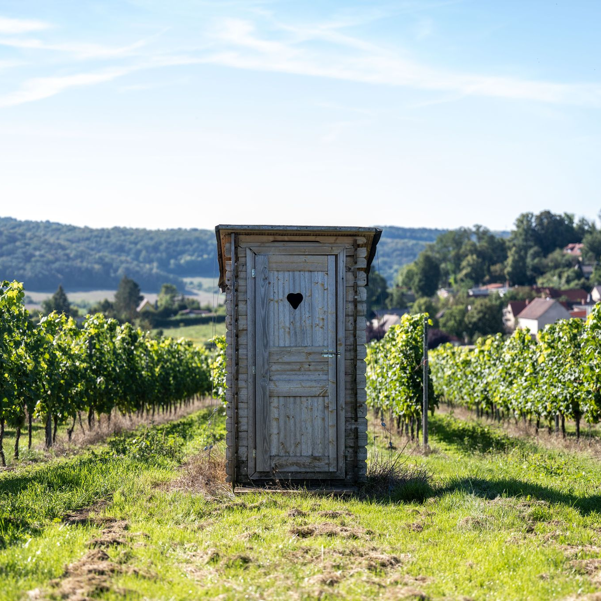 Wasser oder Toilettenpapier? Bei dieser Frage scheiden sich nicht nur wissenschaftlich die Geister. (Illustration) - Foto: Hendrik Schmidt/dpa