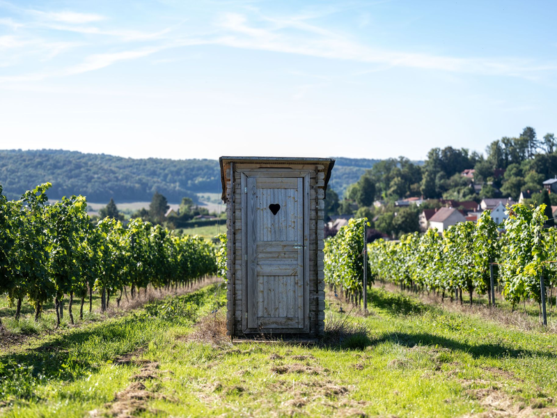 Wasser oder Toilettenpapier? Bei dieser Frage scheiden sich nicht nur wissenschaftlich die Geister. (Illustration) - Foto: Hendrik Schmidt/dpa