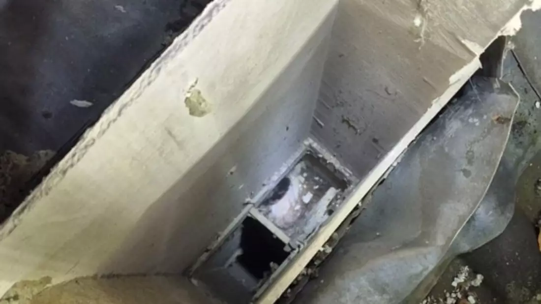 FW Ratingen: Aufwendige Tierrettung, undankbare Katze - Bild: presseportal.de