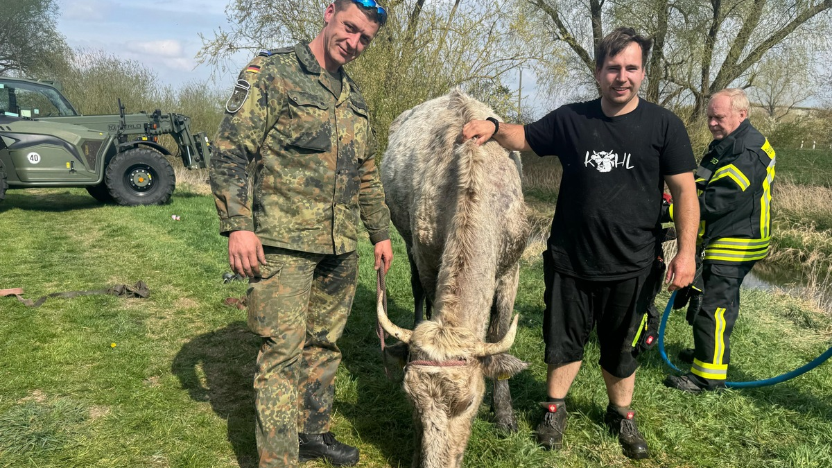 LPI-NDH: ERGÄNZUNGSMELDUNG: Tierrettung aus der Lossa - ein Rind auf Abwegen - Foto: presseportal.de