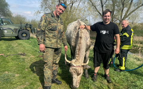 LPI-NDH: ERGÄNZUNGSMELDUNG: Tierrettung aus der Lossa - ein Rind auf Abwegen - Foto: presseportal.de