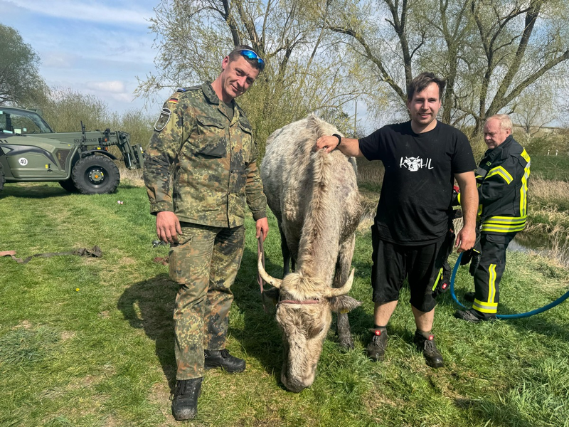 LPI-NDH: ERGÄNZUNGSMELDUNG: Tierrettung aus der Lossa - ein Rind auf Abwegen - Foto: presseportal.de