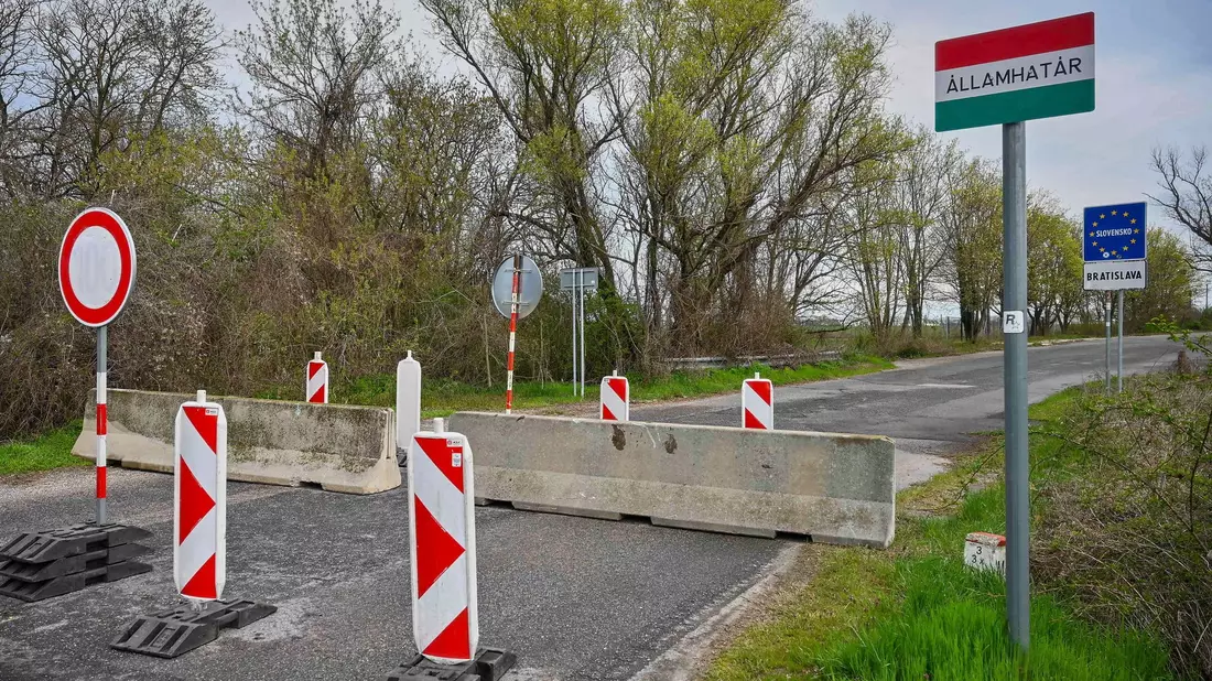 Der Ausbruch der Maul- und Klauenseuche in Ungarn und der Slowakei sorgt in Deutschland für Unsicherheit (Archivbild). - Bild: Csaba Krizsan/MTI/AP/dpa