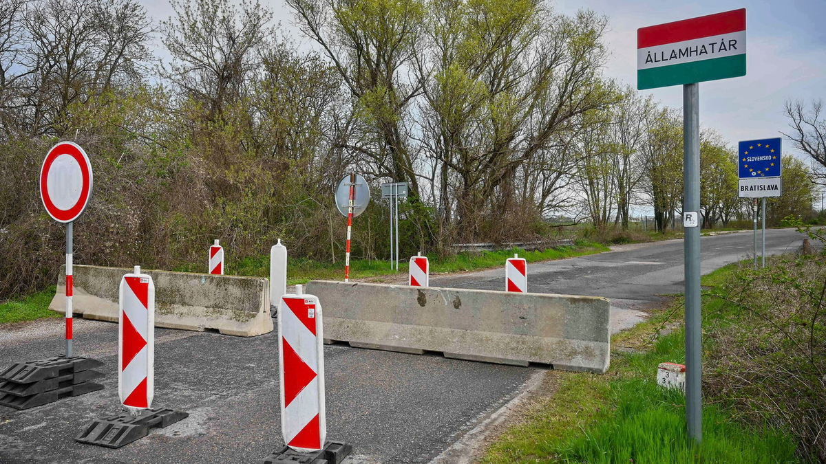 Der Ausbruch der Maul- und Klauenseuche in Ungarn und der Slowakei sorgt in Deutschland für Unsicherheit (Archivbild). - Foto: Csaba Krizsan/MTI/AP/dpa
