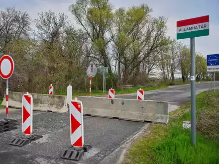 Der Ausbruch der Maul- und Klauenseuche in Ungarn und der Slowakei sorgt in Deutschland für Unsicherheit (Archivbild). - Foto: Csaba Krizsan/MTI/AP/dpa