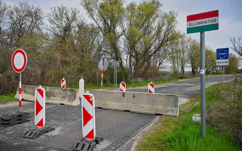 Der Ausbruch der Maul- und Klauenseuche in Ungarn und der Slowakei sorgt in Deutschland für Unsicherheit (Archivbild). - Foto: Csaba Krizsan/MTI/AP/dpa