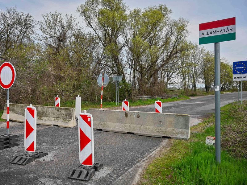 Der Ausbruch der Maul- und Klauenseuche in Ungarn und der Slowakei sorgt in Deutschland für Unsicherheit (Archivbild). - Foto: Csaba Krizsan/MTI/AP/dpa