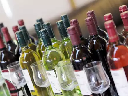 Der Konsum von Wein ist weltweit seit längerem rückläufig, aber es wird oft teurerer Wein getrunken als früher (Archivbild). - Foto: Daniel Reinhardt/dpa