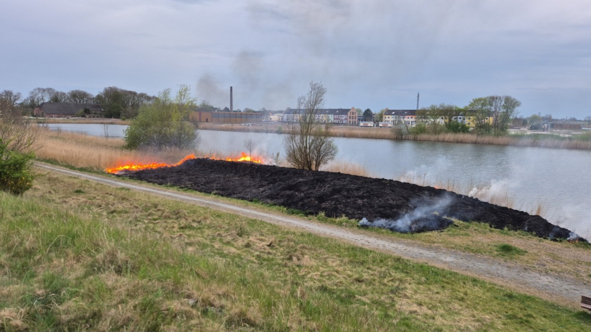 POL-WHV: Brand auf Uferfläche am Wangermeer in Hohenkirchen: Zeugen gesucht - Foto: presseportal.de