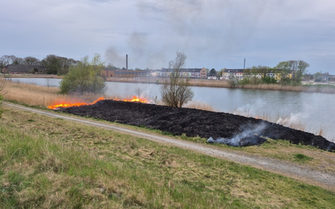 POL-WHV: Brand auf Uferfläche am Wangermeer in Hohenkirchen: Zeugen gesucht - Foto: presseportal.de