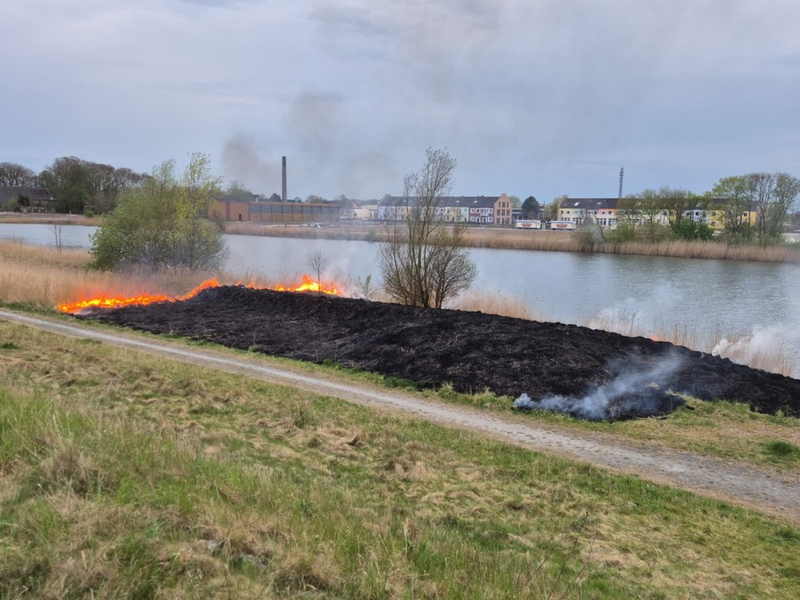 POL-WHV: Brand auf Uferfläche am Wangermeer in Hohenkirchen: Zeugen gesucht - Foto: presseportal.de