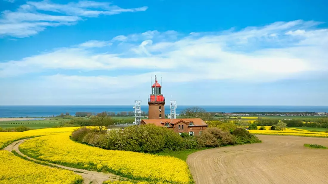 Rapsblüte in Deutschland: Schlüsselkultur der heimischen Landwirtschaft - Bild: presseportal.de